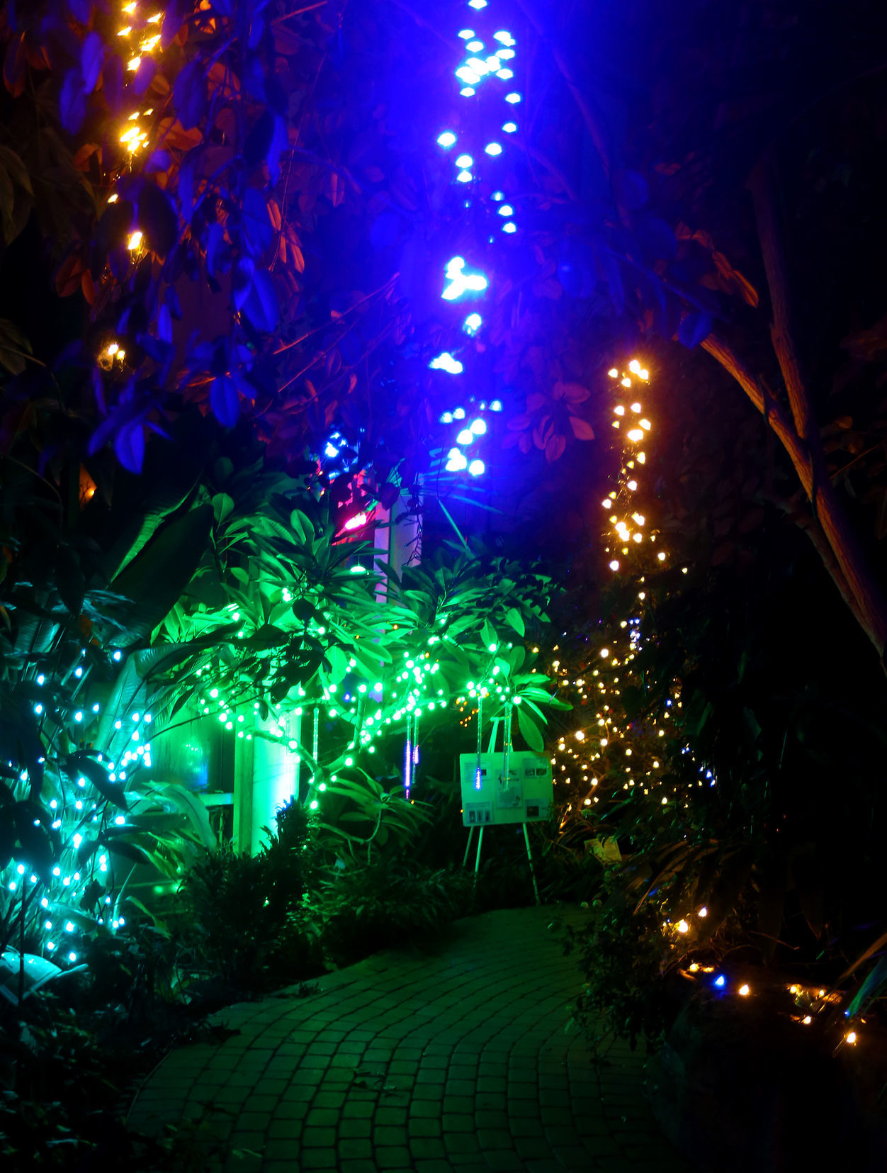 112718-botanical-lights-003
